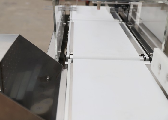 0.1g High Accuracy Pharmaceutical Checkweigher Cosmetics Conveyor For Medicine